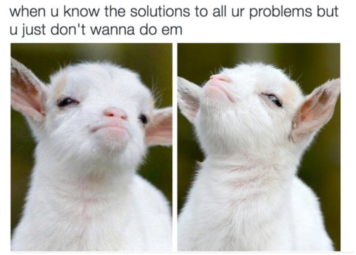 goat meme