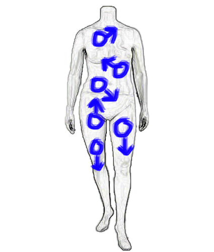 mannequin